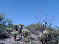 Pictures from iPhone 060